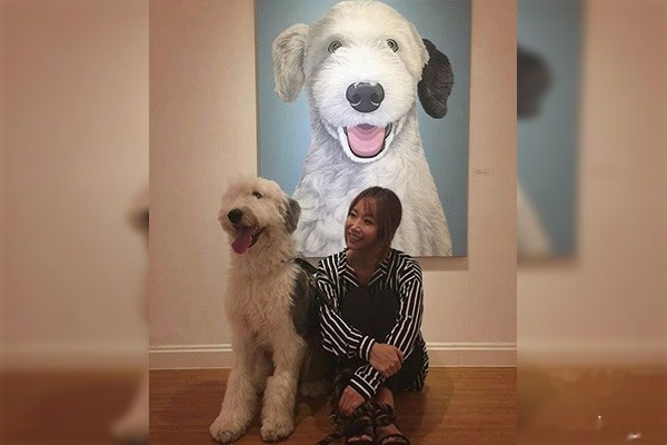 古代牧羊犬训练